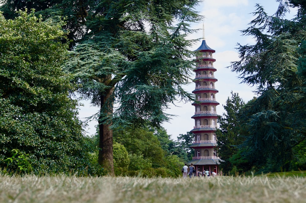 pagoda near trees