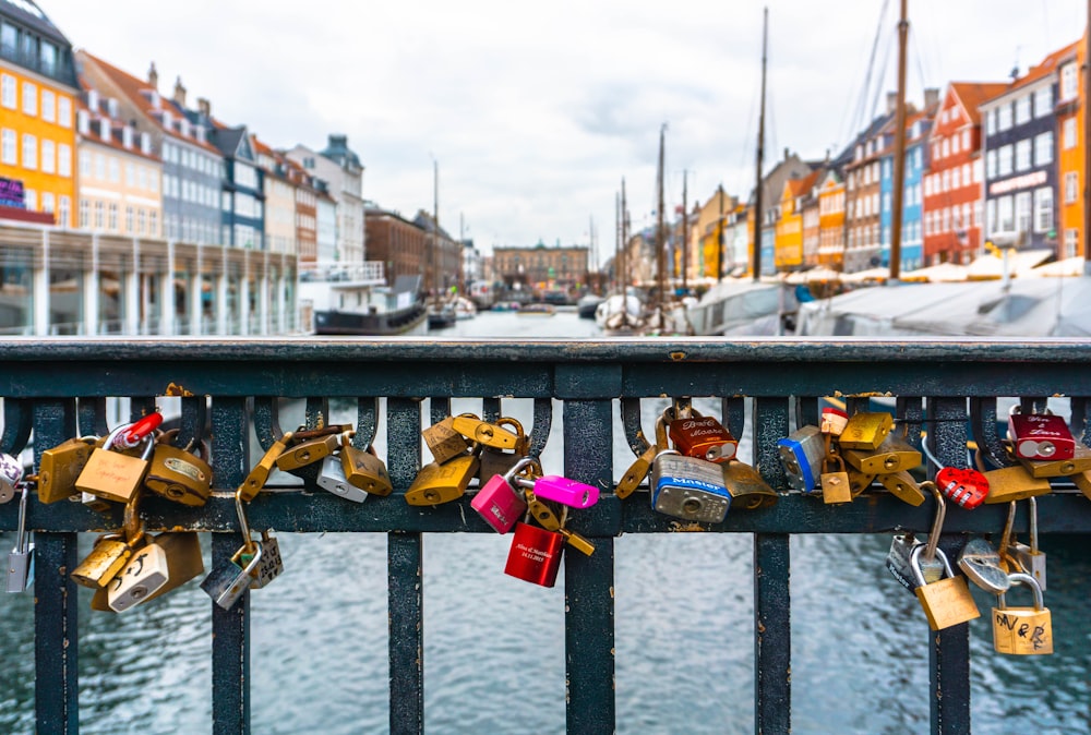 assorted padlock on fence at daytime