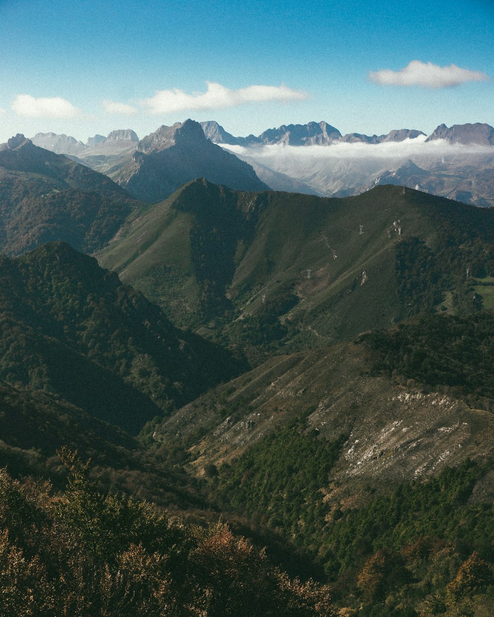 Montaje verde