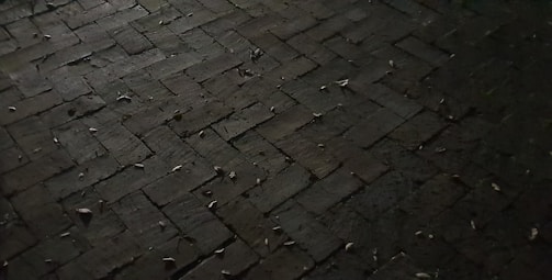 A spacious brick patio featuring a classic herringbone pattern under soft evening light.