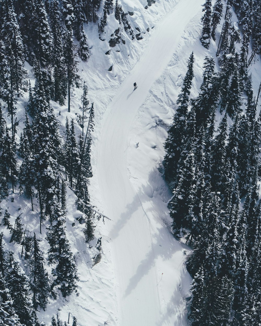 Photographie aérienne d’une personne skiant sur une montagne enneigée \