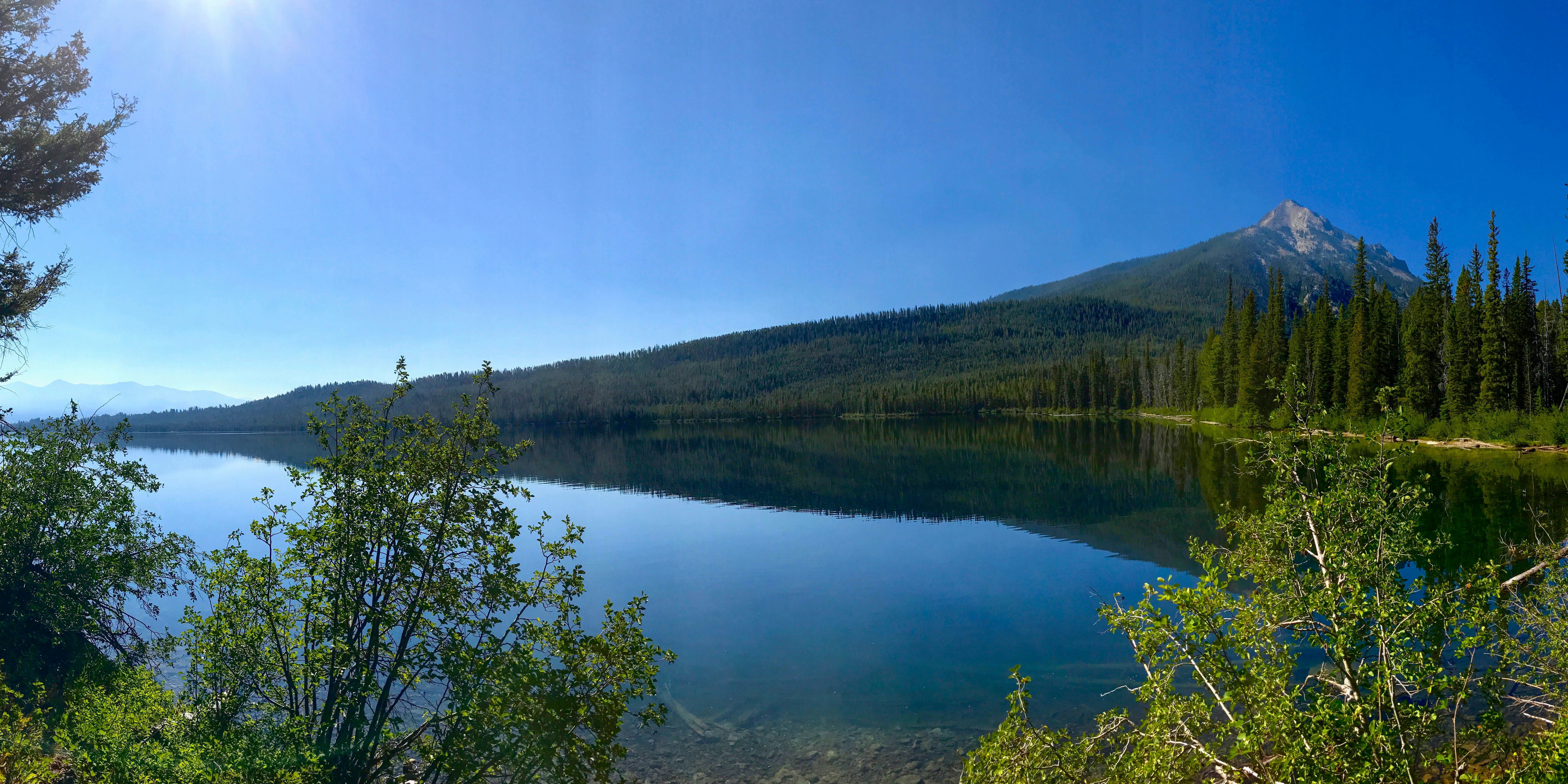 Stop image for Taos Adventure Loop: 3 Days of Family & Nature Escapes - green trees and lake during daytime -  in Southwest USA - Photo by Jess Polley on Unsplash