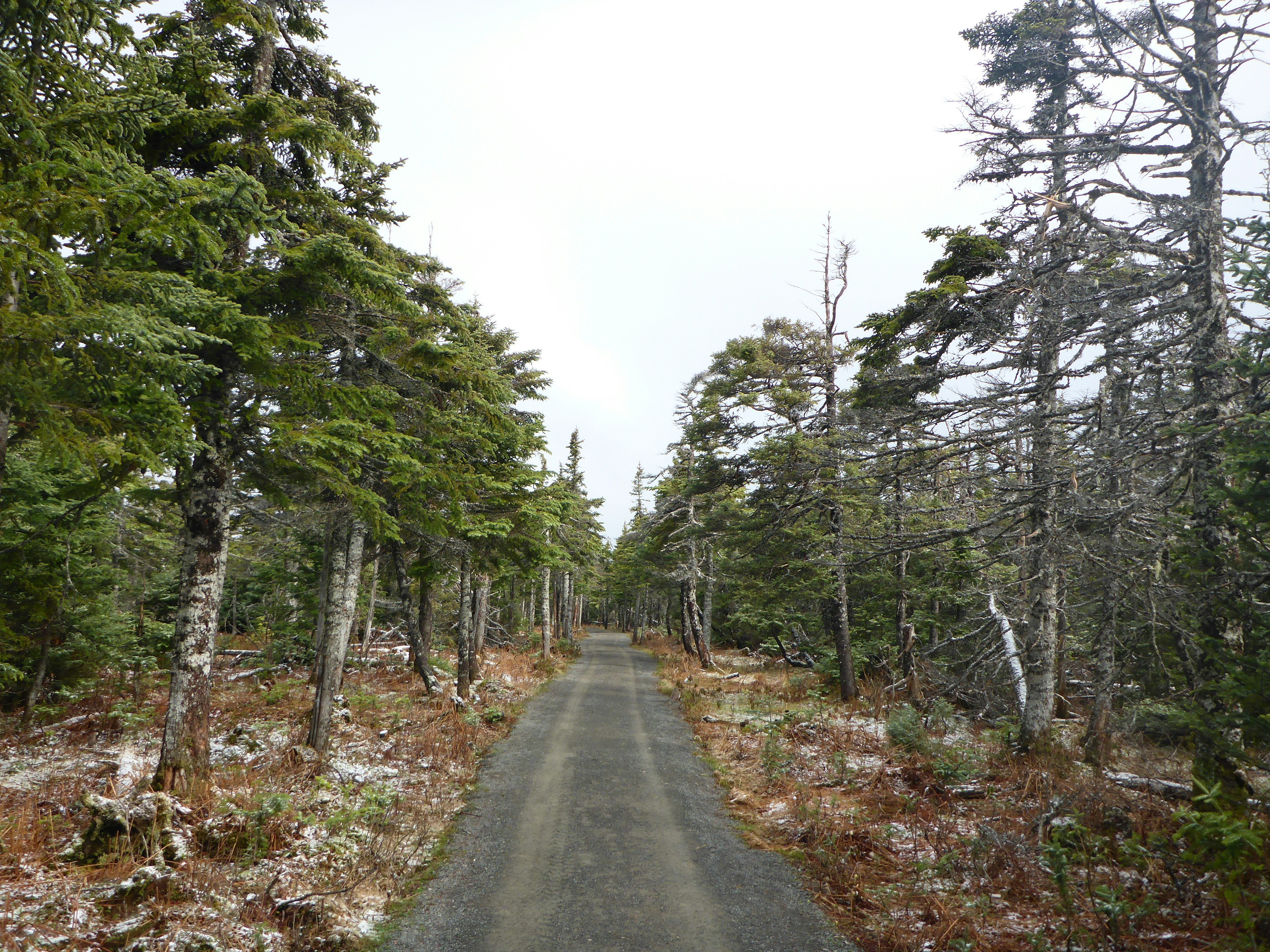 Photo by tearsmypillow