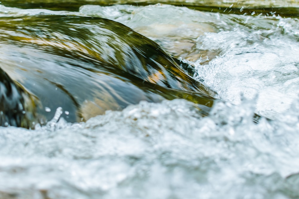 Cuerpo de agua