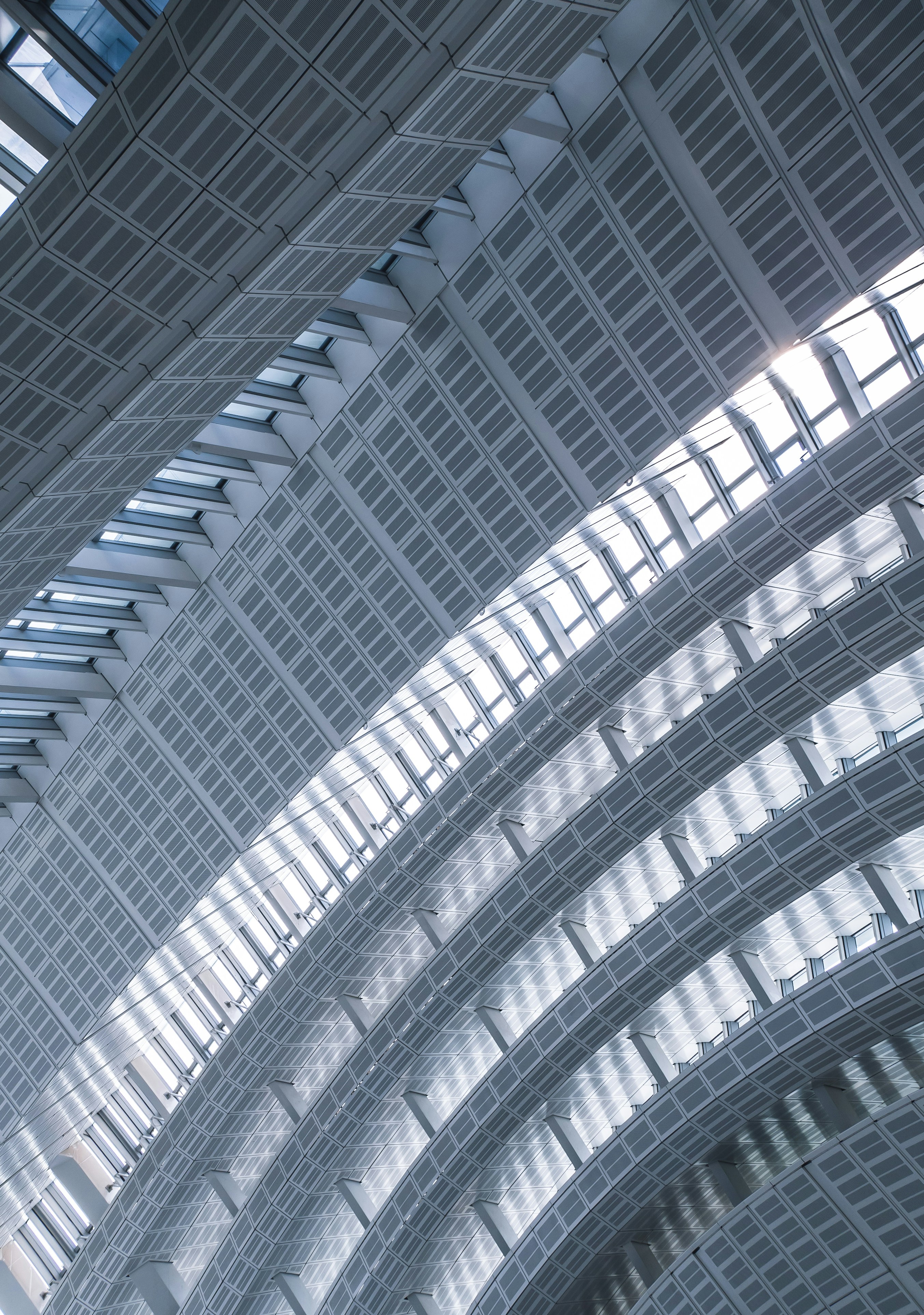 Photo by zacharyxu111