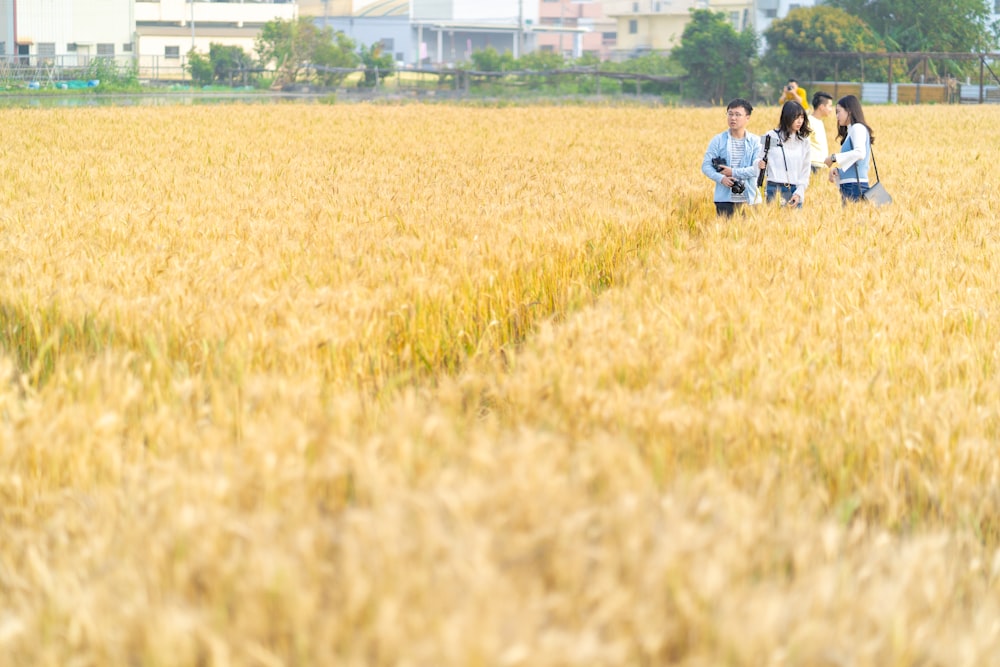 Gente en el campo de arroz