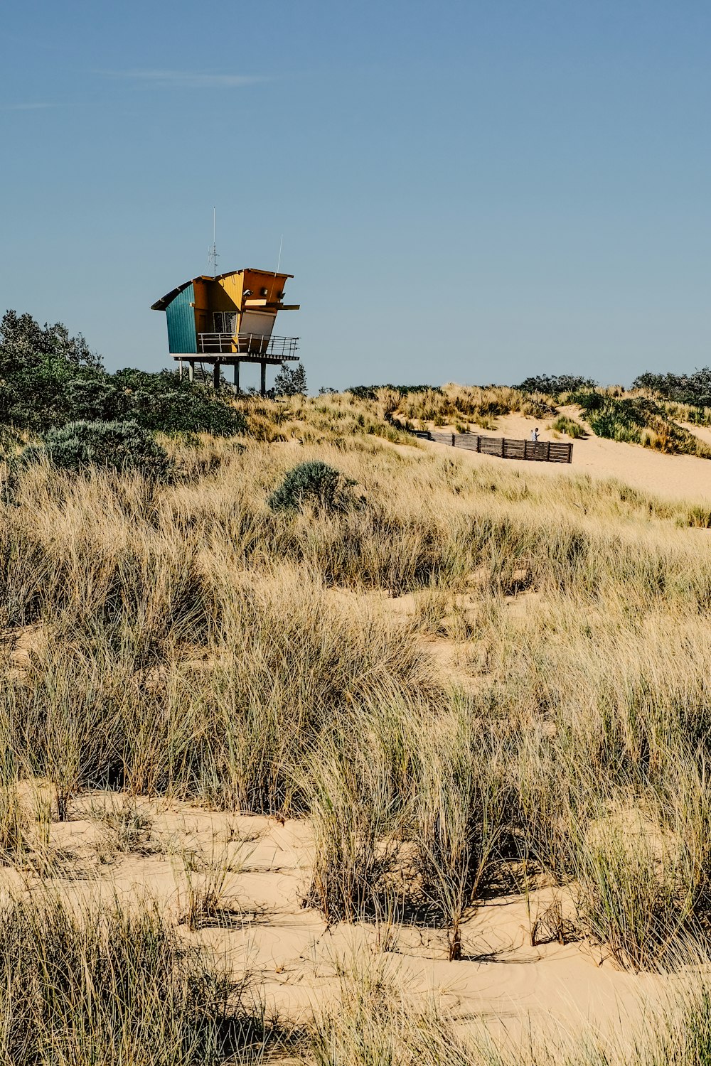 blue and yellow house on high ground near trees