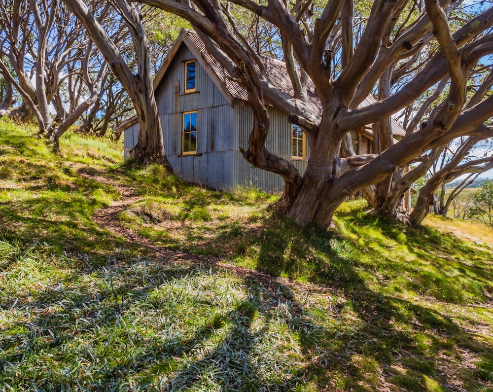 Casa beige entre árboles durante el día