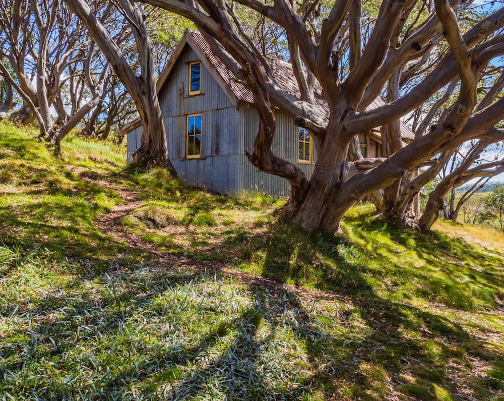 casa beige tra gli alberi durante il giorno