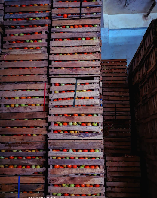 Stacks of exotic Brazilian fruits ready for export in a bustling warehouse