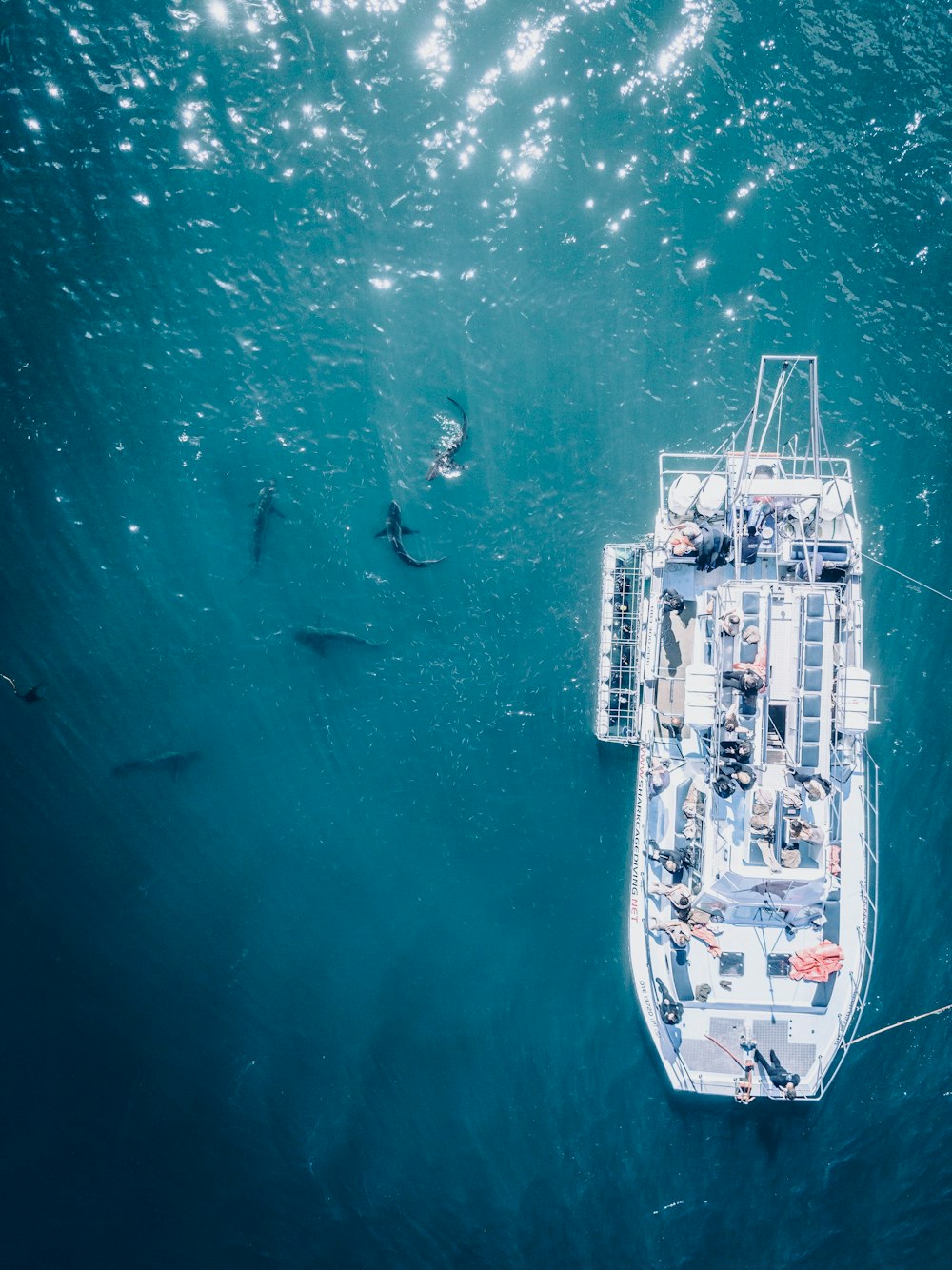 bateau de croisière sur l’eau