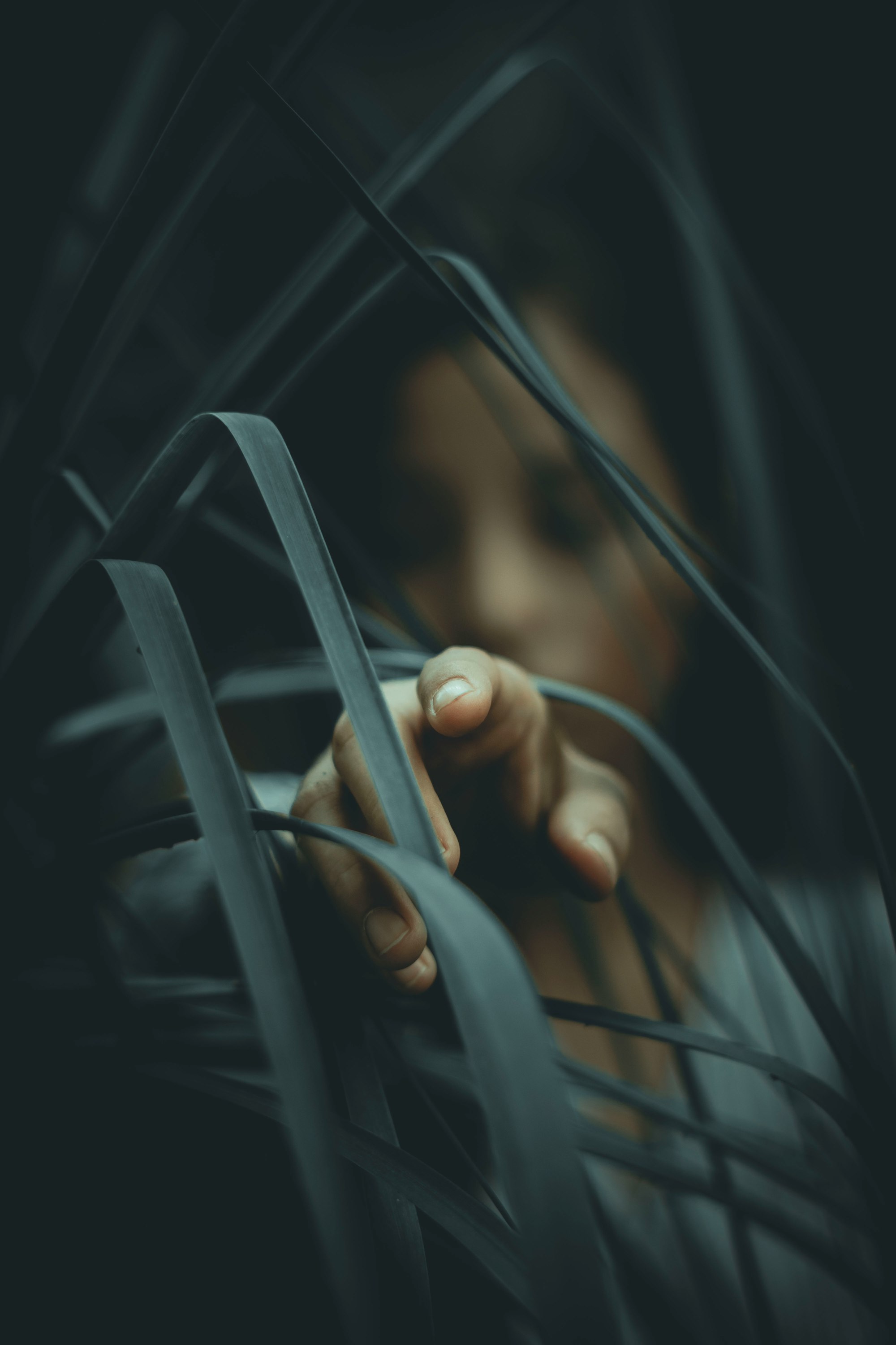 A woman gestures toward the camera, with he face and hand obscured by a long-frond plant.