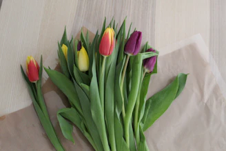 Bright tulips in a rainbow of colors displayed on a wooden table.