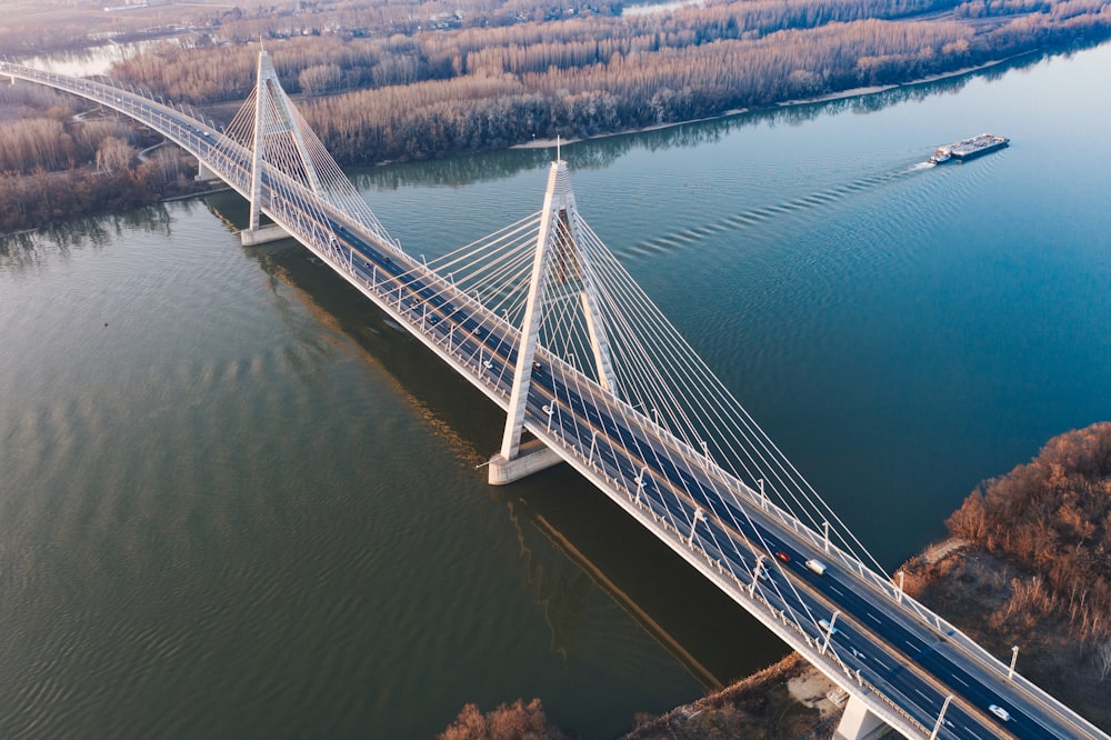 gray and white bridge at daytime