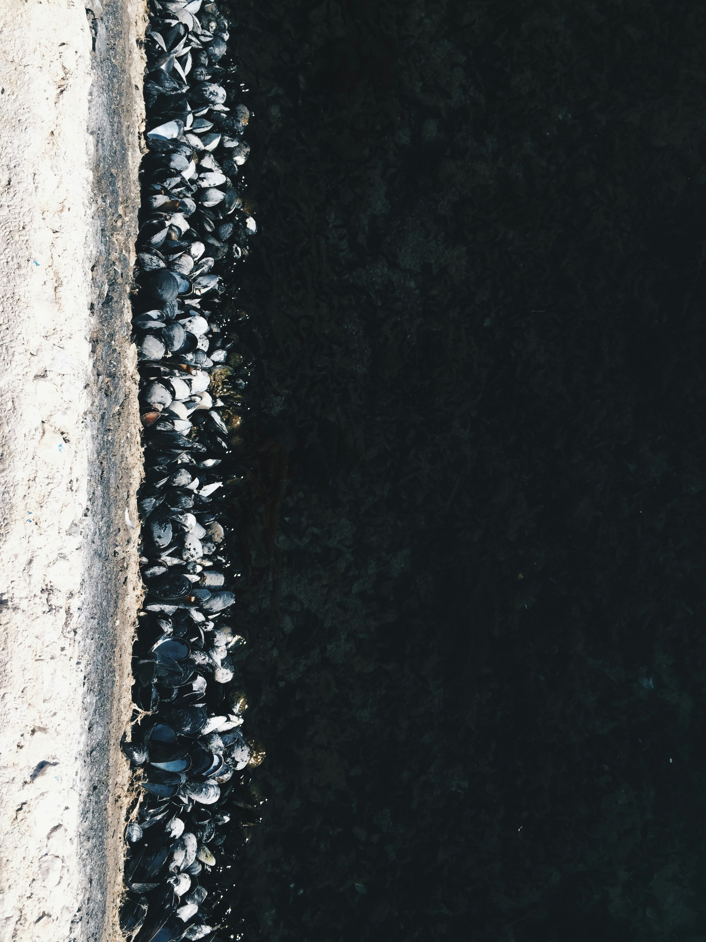 Photo by bastet_effie