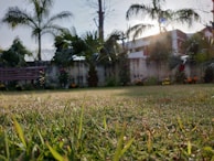 A detailed view of sunlight-exposure mapping tools measuring light angles over a garden bed.