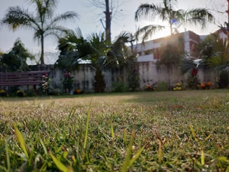 A detailed view of sunlight-exposure mapping tools measuring light angles over a garden bed.