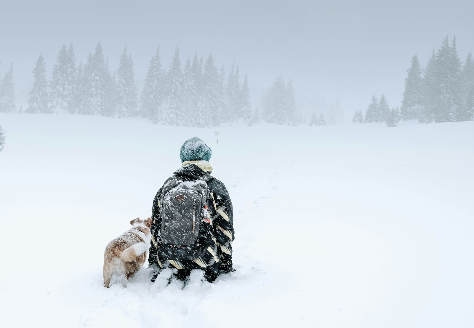 Fujifilm X-T20 + Fujifilm XF 27mm F2.8 sample photo. Person kneeling on snow photography