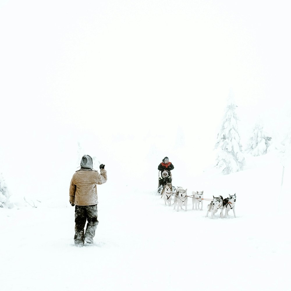 boy wearing brown jacket standing on snow