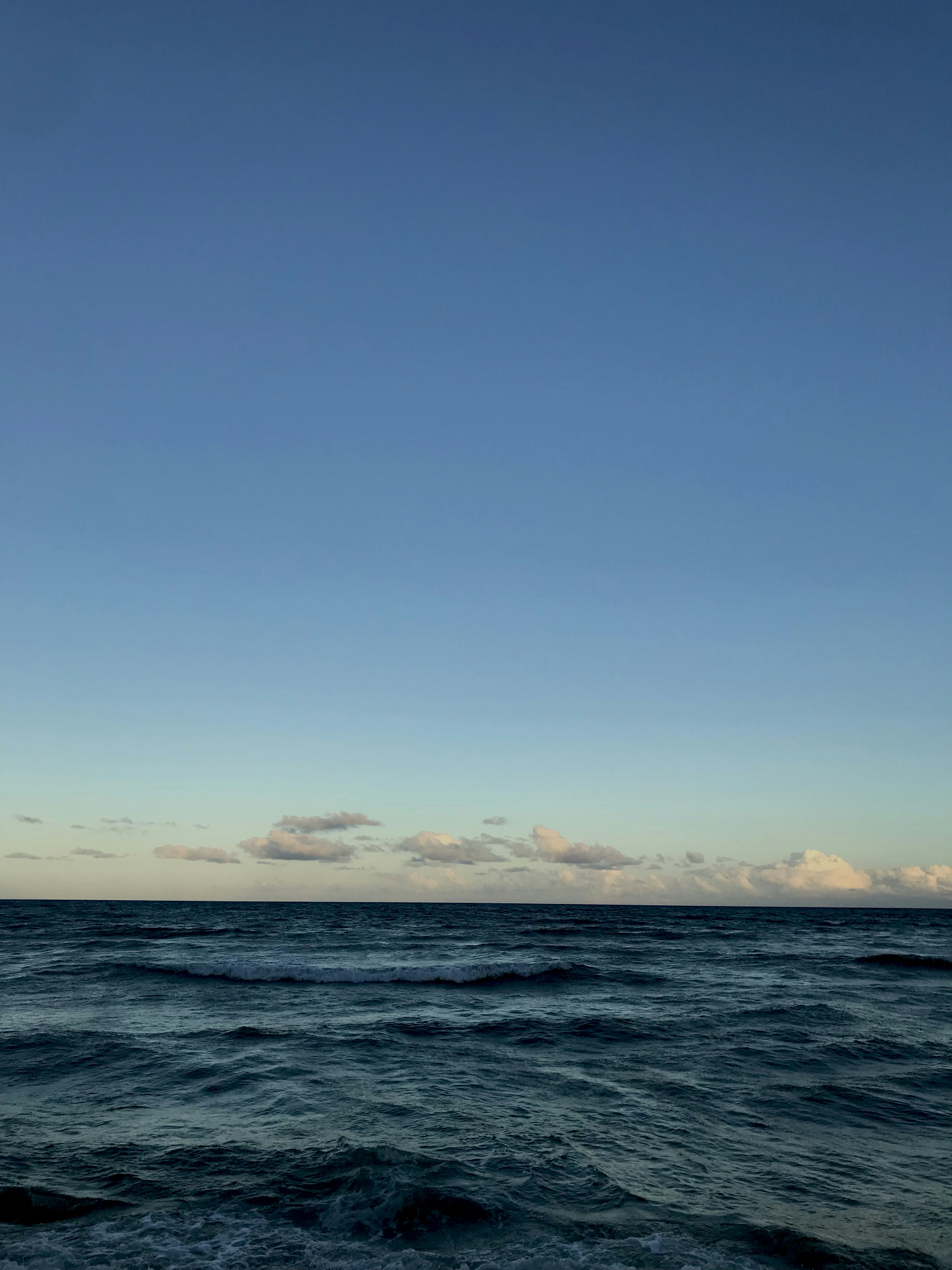 Photo by martinscardoso_unsplash