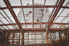 A modern greenhouse structure with large glass panels and metal beams, the roof is partly transparent with visible framing. Sparse vegetation can be seen growing on the inside, with sunlight casting shadows through the glass.
