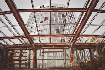 A modern greenhouse structure with large glass panels and metal beams, the roof is partly transparent with visible framing. Sparse vegetation can be seen growing on the inside, with sunlight casting shadows through the glass.