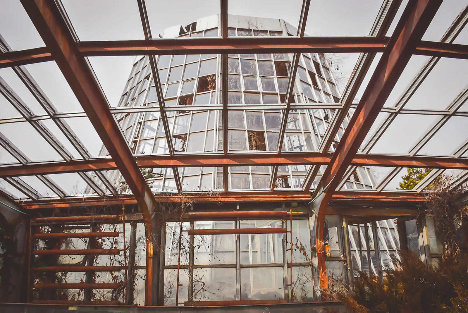 Backyard greenhouse kit used for season extension in a home garden