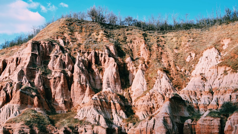 brown rock formation