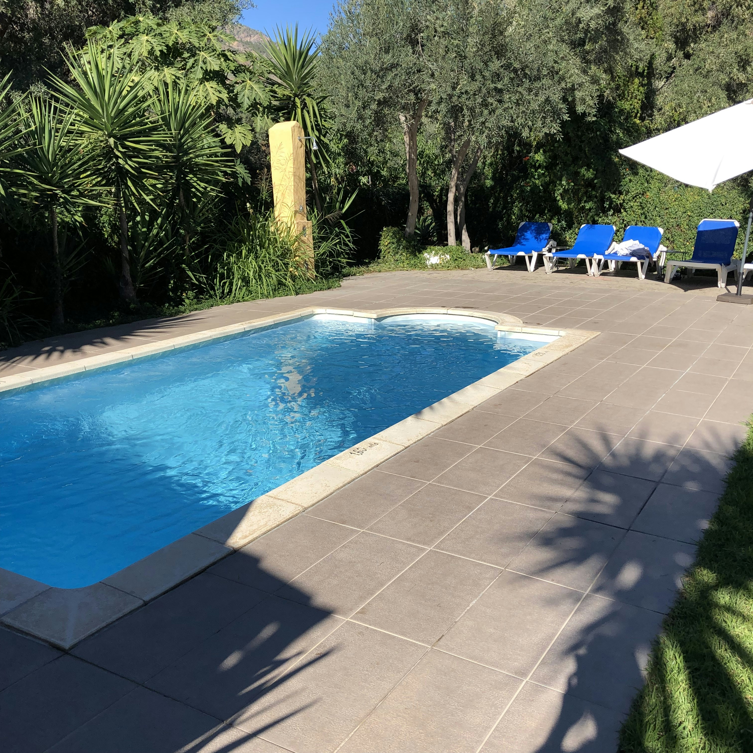 Outdoor pool area with blue water, stone deck, lounge chairs, lush garden surroundings, sunny day