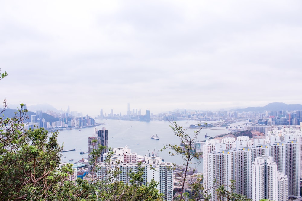 city near body of water during daytime