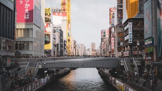 people crossing bridge during daytime