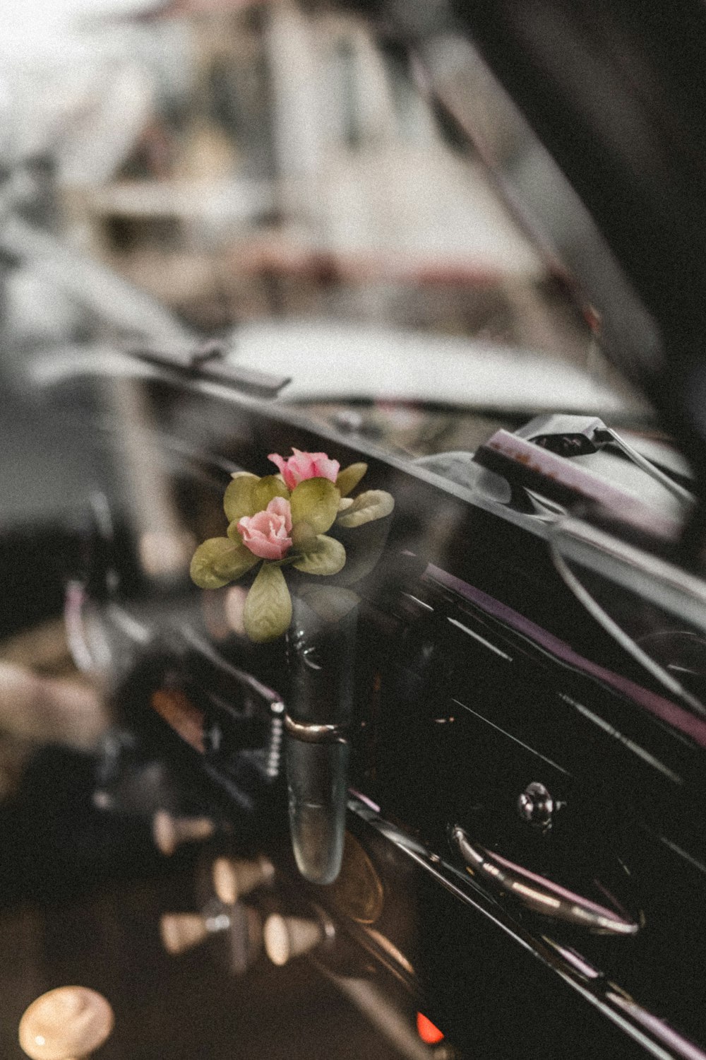 um carro com uma flor no capô