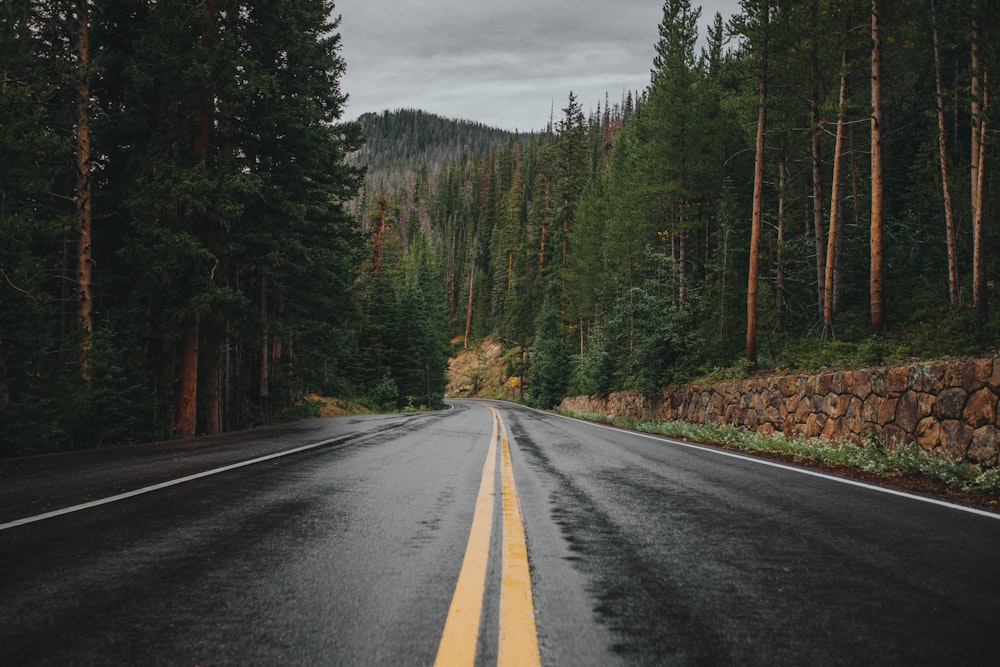 empty concrete road and trees during daytime