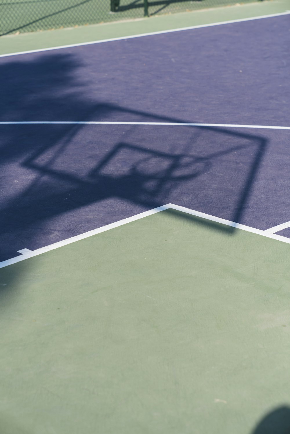 purple and grey basketball court