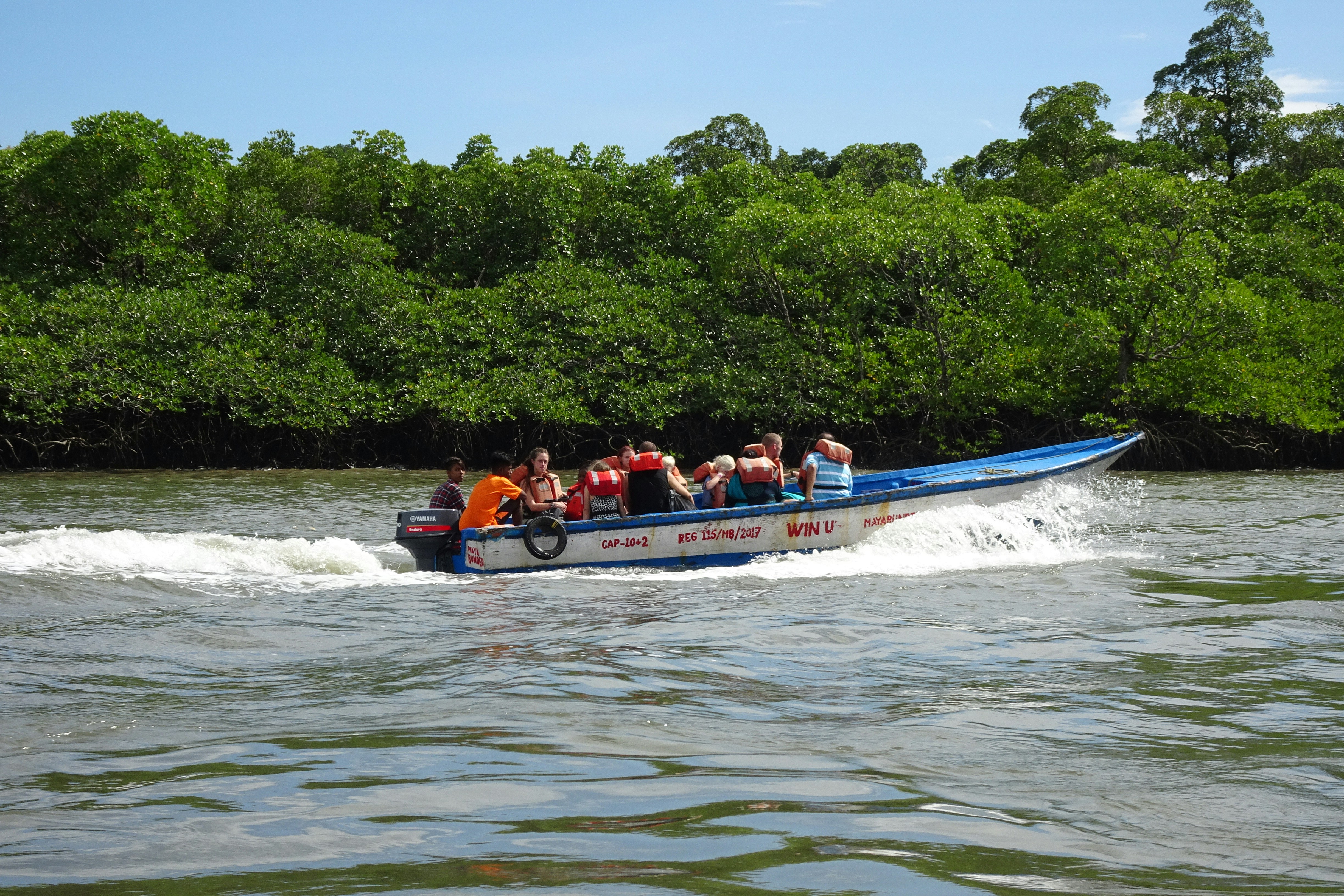 Navigating the Risks of Malaria and Dengue in Sumatra: Essential Travel Insights