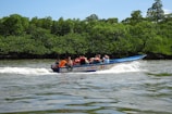 A group of people wearing life vests are traveling on a motorized boat across a wide waterway. Lush green mangrove trees form a dense backdrop, indicating a tropical environment. The surface of the water is slightly disturbed by the boat's wake.