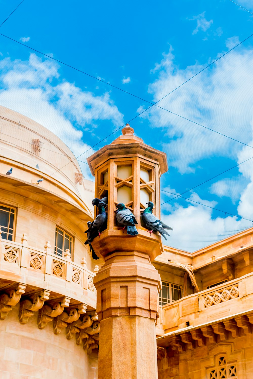 pigeons on beige tower under blue calm sky