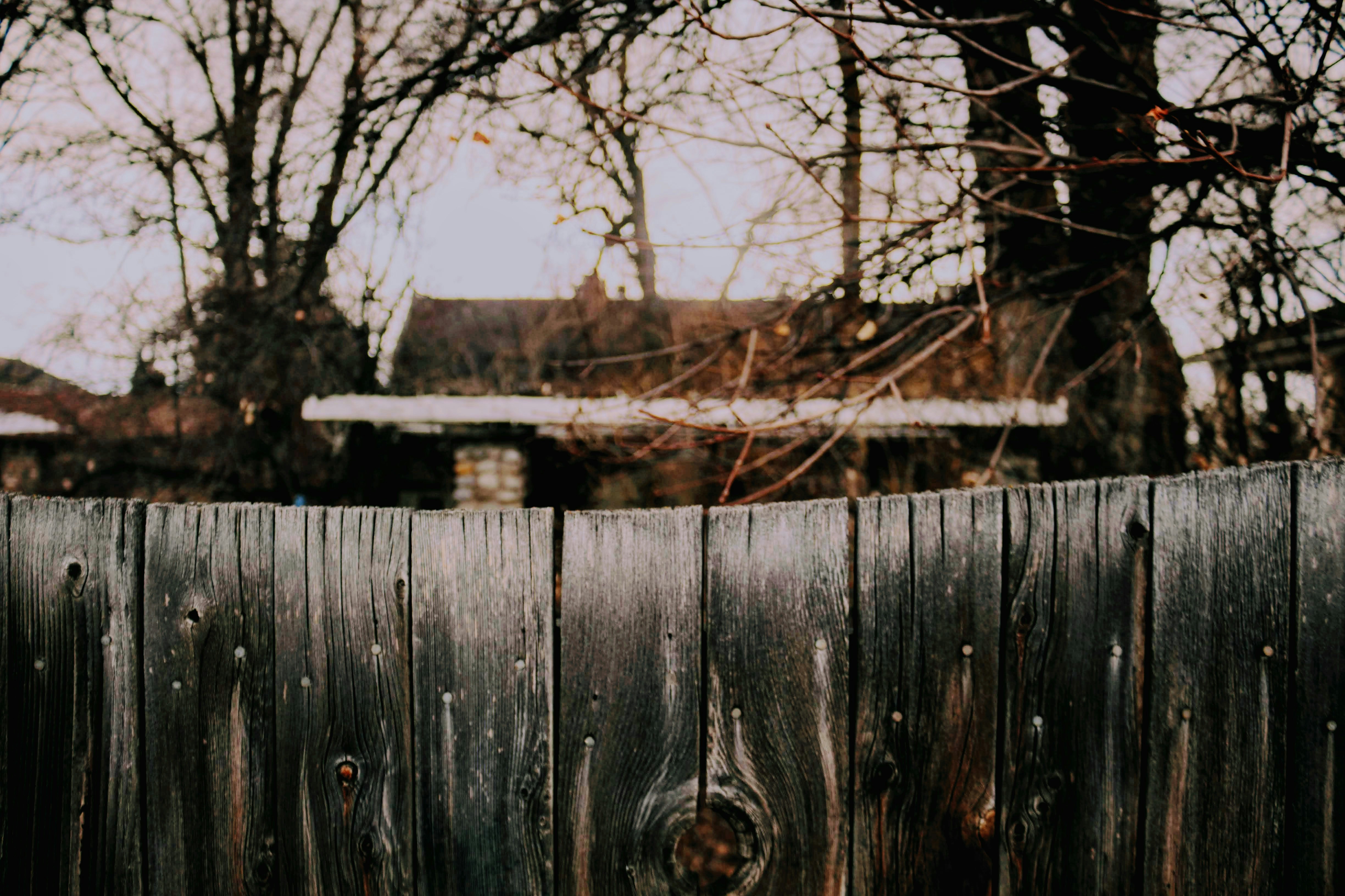 Photo by joshua_hoehne