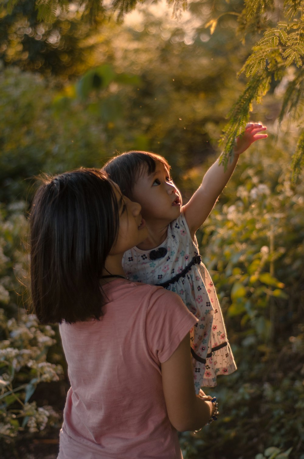 girl carrying toddler about to touch leafed tree