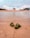 Two sandals rest on the sandy shore of a beach. In the background, a small thatched-roof shelter sits on the sand with two people underneath, surrounded by a few trees. The scene includes calm, rippling water in the foreground and a sky filled with scattered clouds.