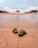 Two sandals rest on the sandy shore of a beach. In the background, a small thatched-roof shelter sits on the sand with two people underneath, surrounded by a few trees. The scene includes calm, rippling water in the foreground and a sky filled with scattered clouds.
