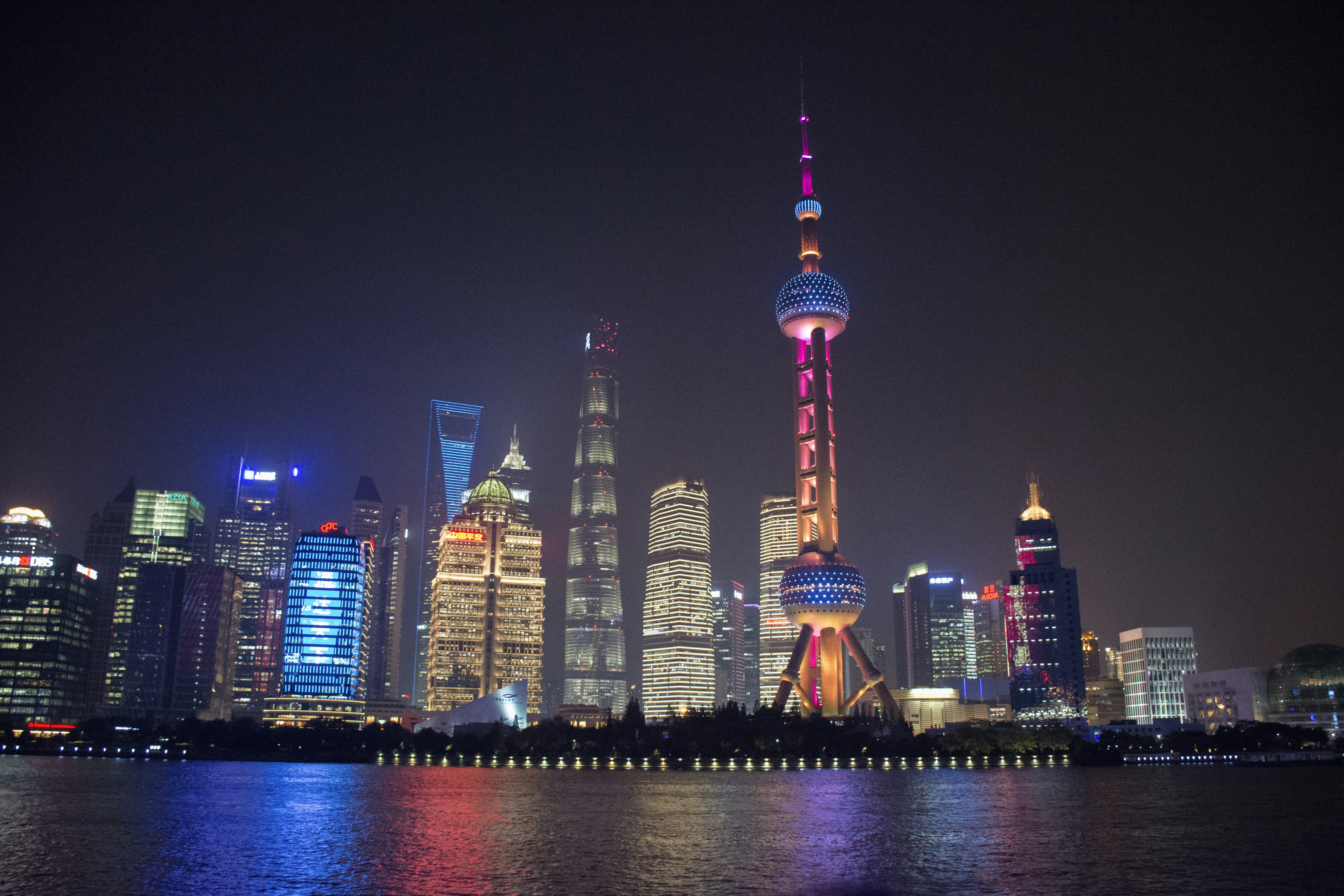 Photo by rongeurcloclo