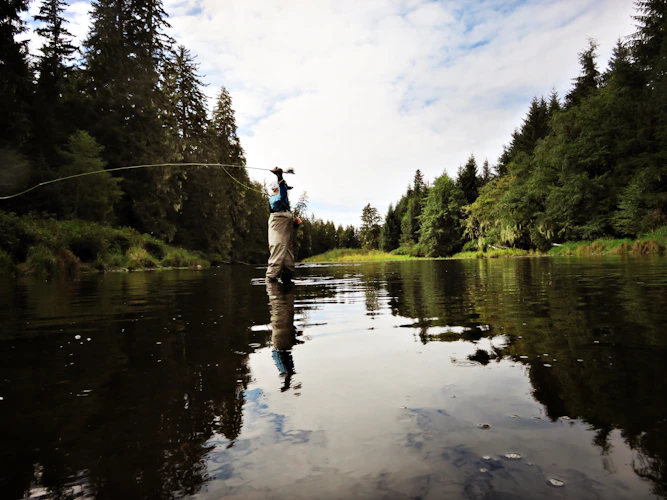 an angler mid-cast on a forested river, line unrolling over the water