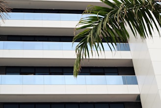 A modern building facade with a sleek design, featuring several horizontal, reflective glass panels and white cladding. The image is accented by a large green palm frond extending from the top right corner.