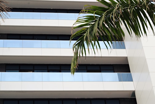 A modern building facade with a sleek design, featuring several horizontal, reflective glass panels and white cladding. The image is accented by a large green palm frond extending from the top right corner.