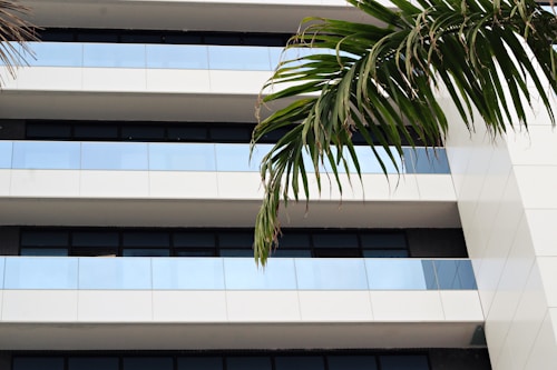 A modern building facade with a sleek design, featuring several horizontal, reflective glass panels and white cladding. The image is accented by a large green palm frond extending from the top right corner.