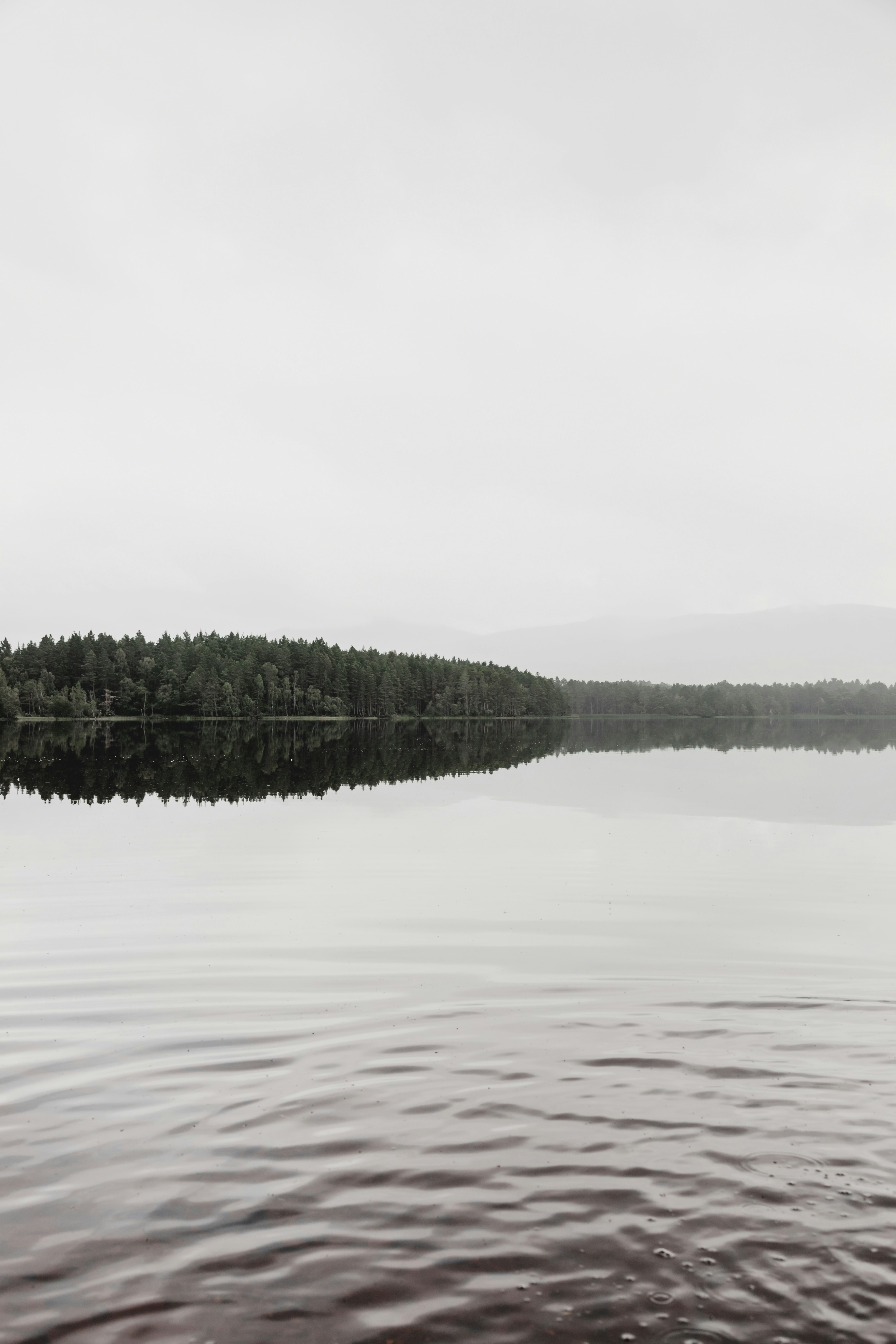 Photo by georgiadelotz