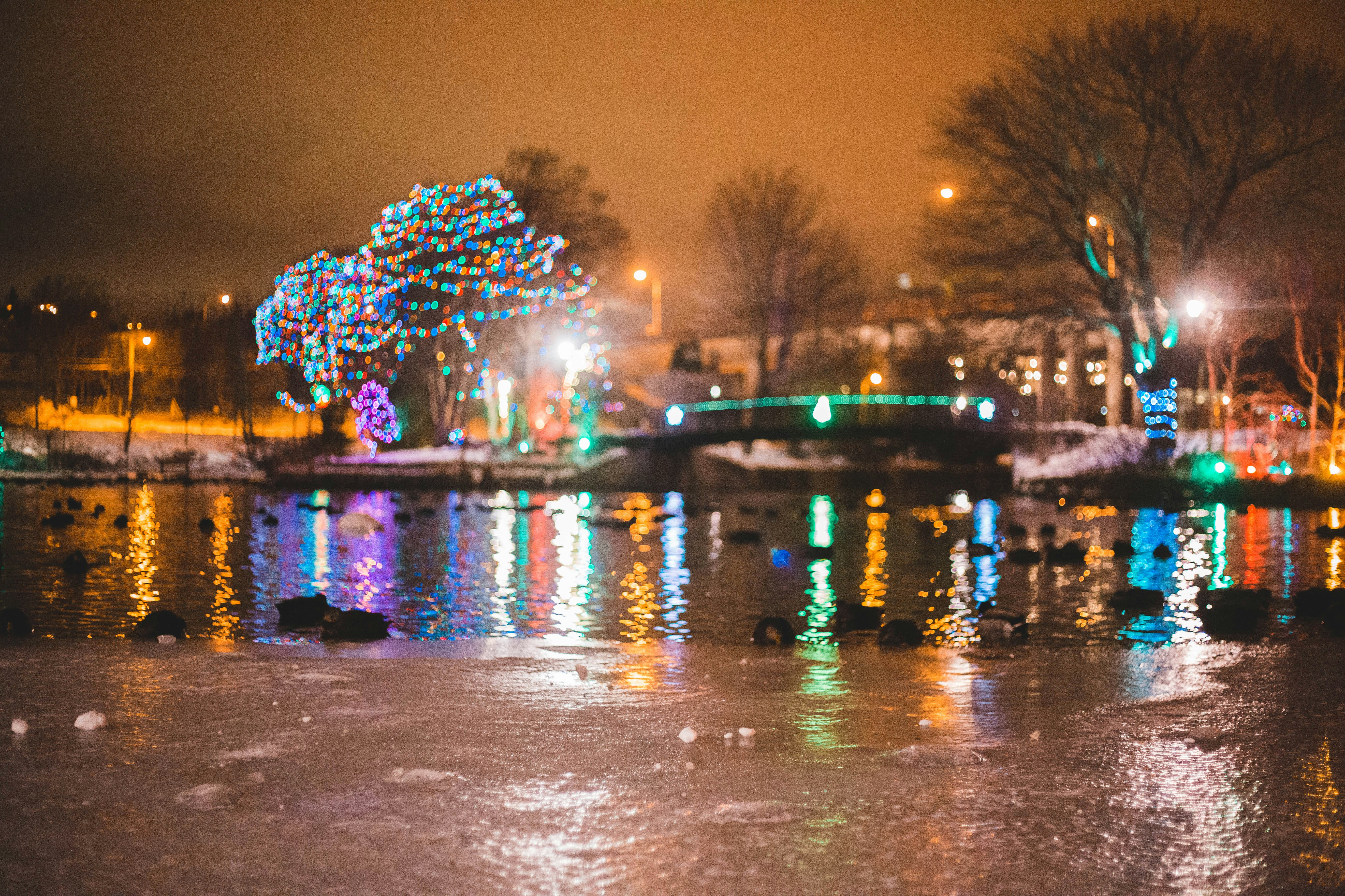 Photo by introspectivedsgn