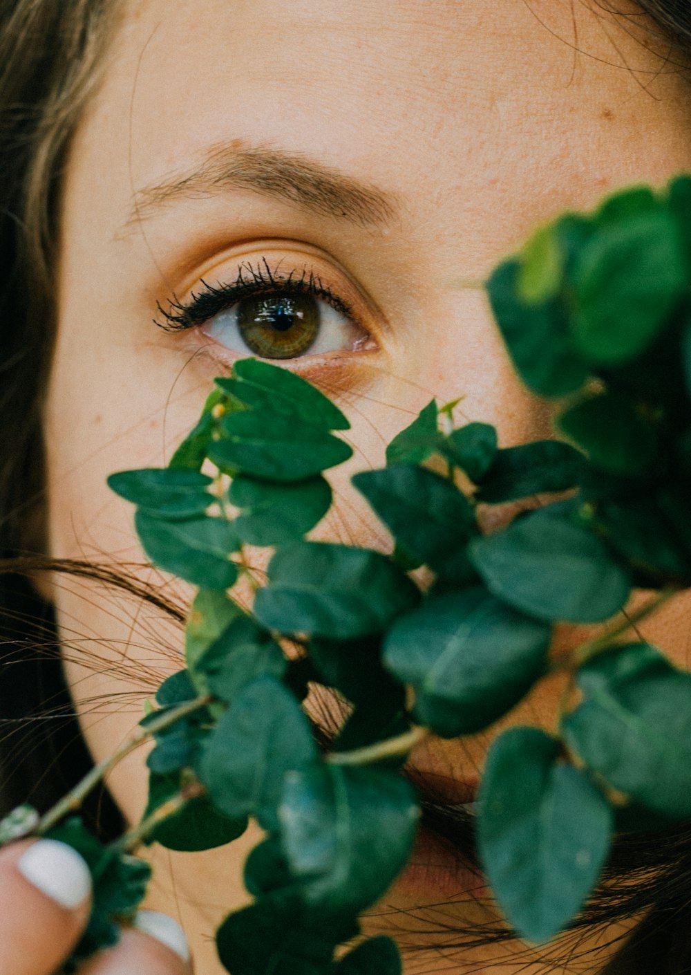 woman holding green-leafed plant