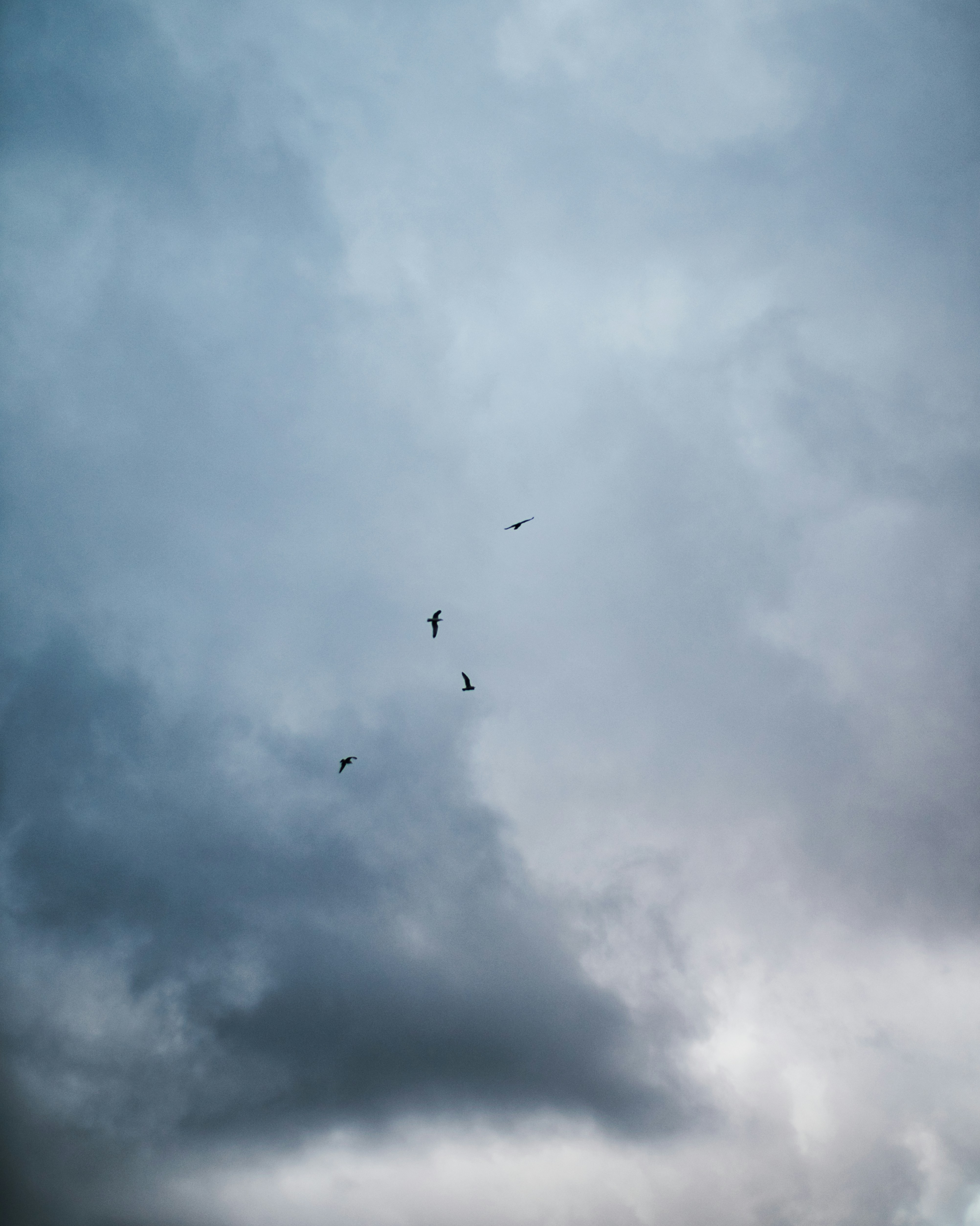 Photo by liammartens